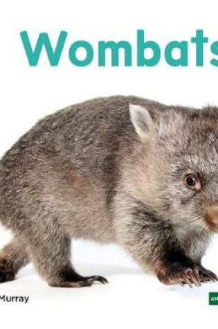 Cover of Wombats (Wombats)