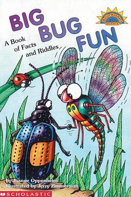 Cover of Big Bug Fun