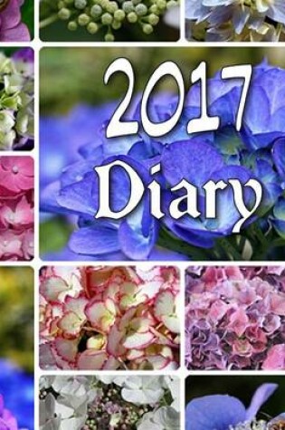 Cover of Diary 2017