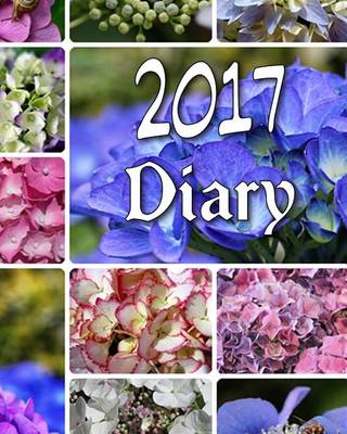 Book cover for Diary 2017