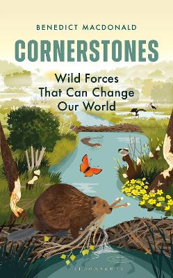 Book cover for Cornerstones