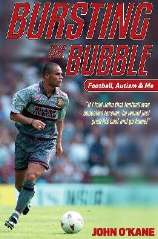 Cover of Bursting The Bubble