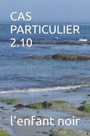 Cover of Cas Particulier 2.10