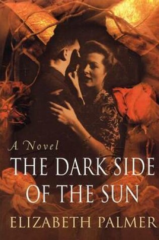 Cover of The Dark Side of the Sun