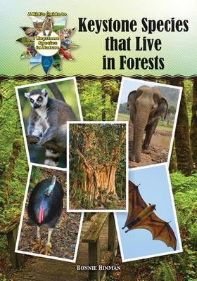 Book cover for Keystone Species That Live in Forests