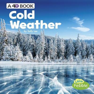 Book cover for Cold Weather: a 4D Book (All Kinds of Weather)