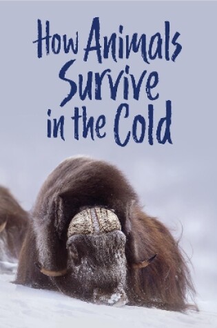 Cover of How Animals Survive in the Cold