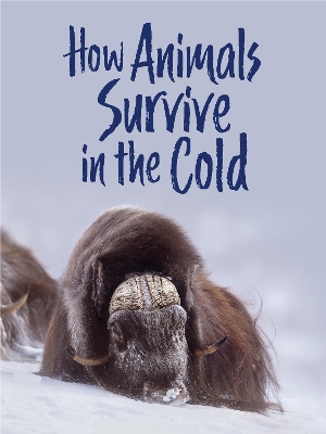 Cover of How Animals Survive in the Cold