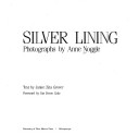 Book cover for Silver Lining