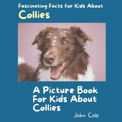 Book cover for A Picture Book for Kids About Collies