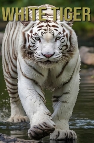 Cover of White Tiger