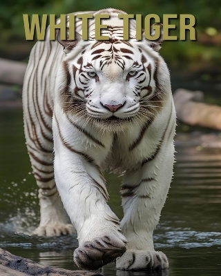 Book cover for White Tiger