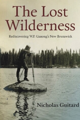 Cover of The Lost Wilderness