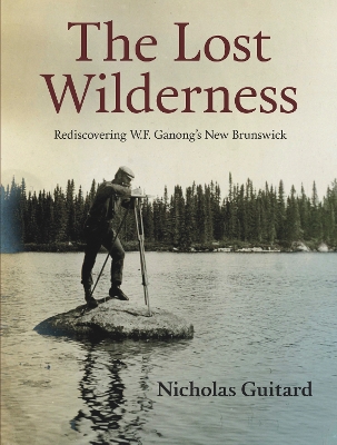 Book cover for The Lost Wilderness