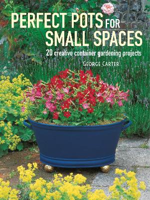 Cover of Perfect Pots for Small Spaces