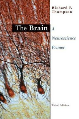 Cover of The Brain