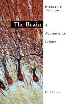 Book cover for The Brain