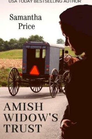 Cover of Amish Widow's Trust