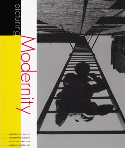 Book cover for Picturing Modernity