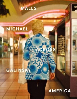 Book cover for Michael Galinsky: Malls Across America