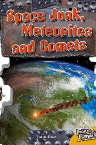 Cover of Space Junk, Meteorites and Comets