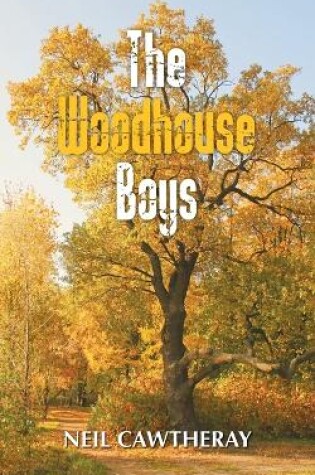 Cover of The Woodhouse Boys