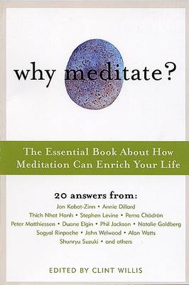 Book cover for Why Meditate?