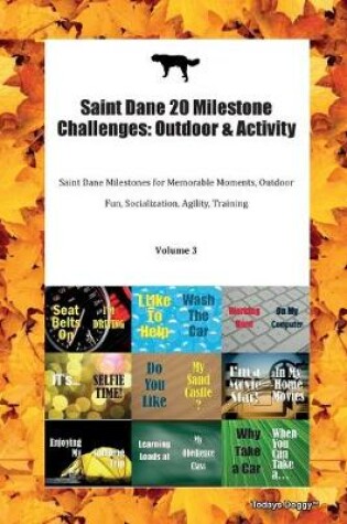 Cover of Saint Dane 20 Milestone Challenges