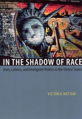 Cover of In the Shadow of Race
