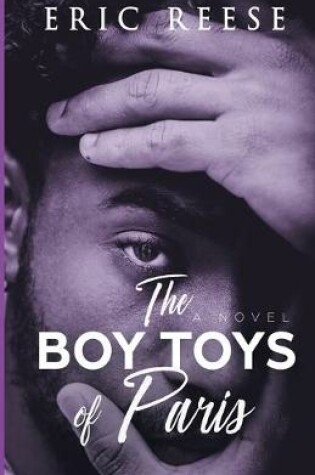 Cover of The Boy Toys of Paris