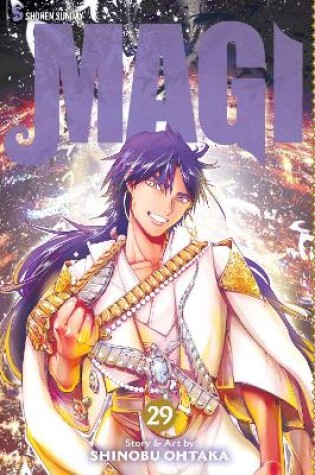 Cover of Magi: The Labyrinth of Magic, Vol. 29