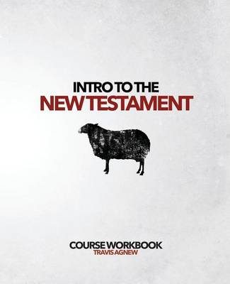 Book cover for Intro to the New Testament