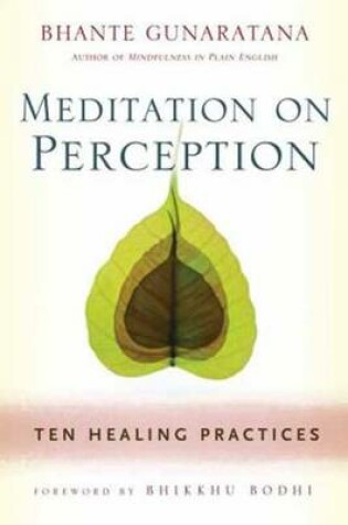 Cover of Meditation on Perception