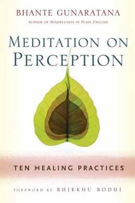 Book cover for Meditation on Perception