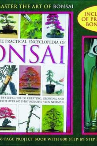 Cover of How to Master the Art of Bonsai