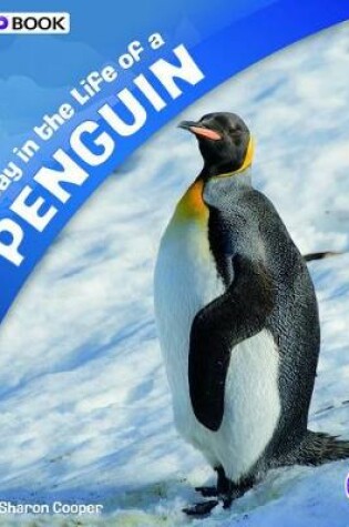 Cover of A Day in the Life of a Penguin: a 4D Book (A Day in the Life)