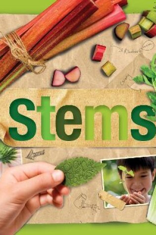 Cover of Stems