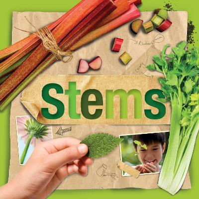 Book cover for Stems