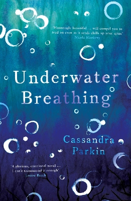 Book cover for Underwater Breathing