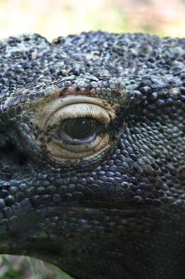 Cover of Komodo Dragon