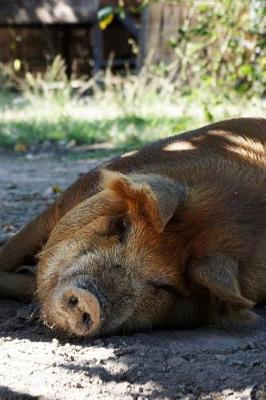 Book cover for Happy Pig Napping in the Shade Journal