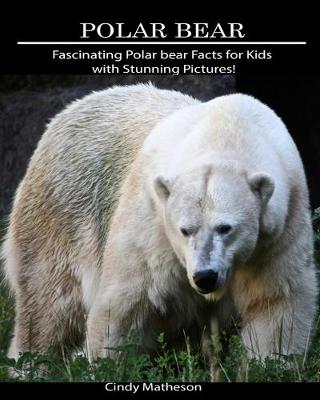 Book cover for Polar Bear