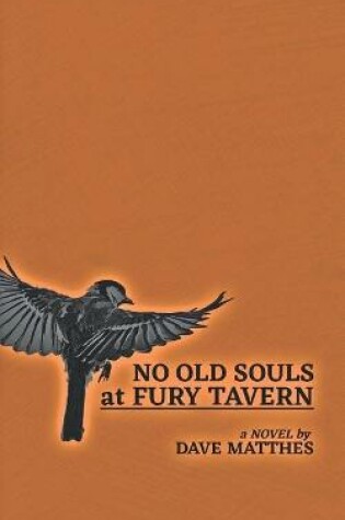 Cover of No Old Souls at Fury Tavern