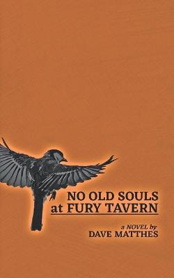Book cover for No Old Souls at Fury Tavern