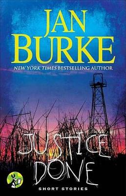 Book cover for Justice Done