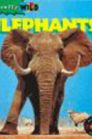 Cover of Really Wild: Elephants Paperback