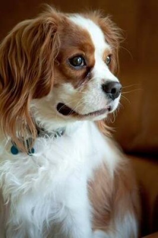 Cover of The Cavalier King Charles Spaniel Dog Journal