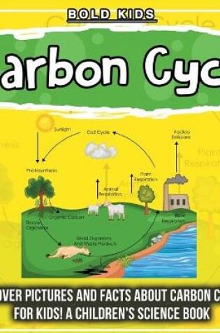 Cover of Carbon Cycle