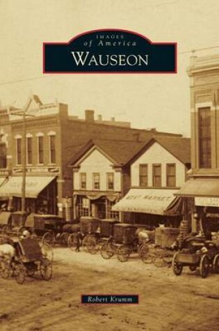 Cover of Wauseon