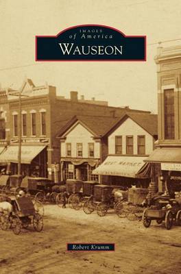 Book cover for Wauseon